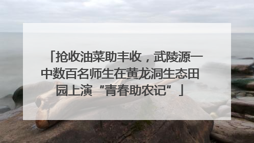 抢收油菜助丰收，武陵源一中数百名师生在黄龙洞生态田园上演“青春助农记”