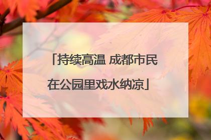 持续高温 成都市民在公园里戏水纳凉