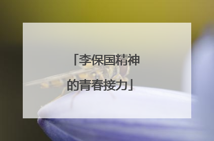 李保国精神的青春接力
