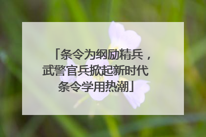 条令为纲励精兵，武警官兵掀起新时代条令学用热潮