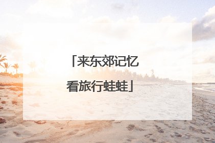 来东郊记忆 看旅行蛙蛙