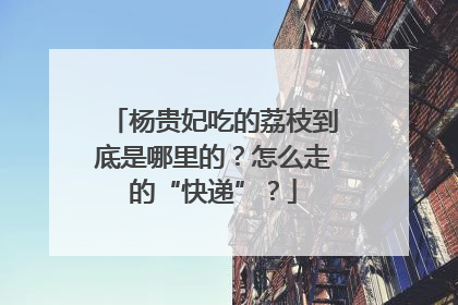 杨贵妃吃的荔枝到底是哪里的？怎么走的“快递”？