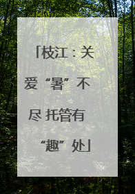 枝江：关爱“暑”不尽 托管有“趣”处