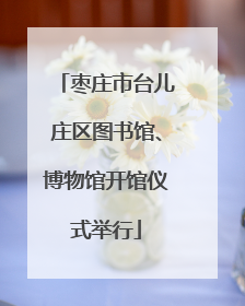 枣庄市台儿庄区图书馆、博物馆开馆仪式举行