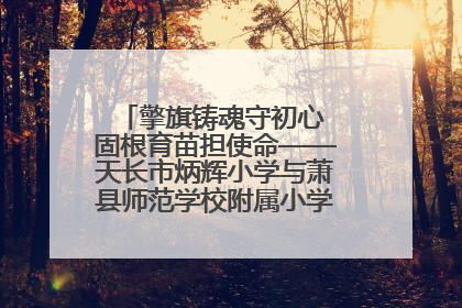 擎旗铸魂守初心 固根育苗担使命——天长市炳辉小学与萧县师范学校附属小学结对共建活动纪实
