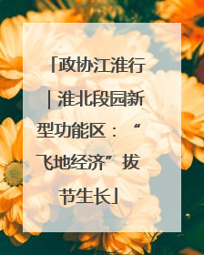 政协江淮行｜淮北段园新型功能区：“飞地经济”拔节生长