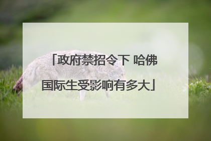 政府禁招令下 哈佛国际生受影响有多大