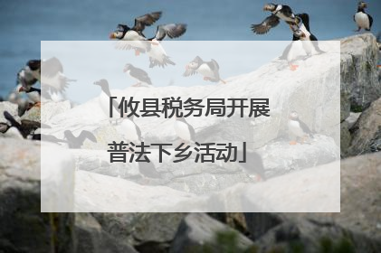 攸县税务局开展普法下乡活动