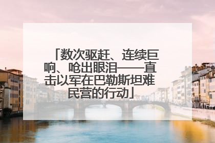 数次驱赶、连续巨响、呛出眼泪——直击以军在巴勒斯坦难民营的行动