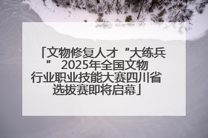 文物修复人才“大练兵” 2025年全国文物行业职业技能大赛四川省选拔赛即将启幕