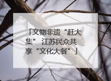 文物非遗“赶大集” 江苏民众共享“文化大餐”