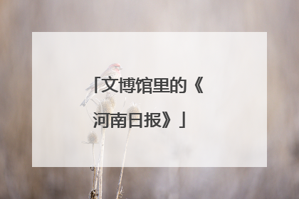 文博馆里的《河南日报》