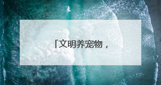 文明养宠物,蔚然树新风