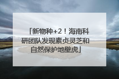 新物种+2！海南科研团队发现素贞灵芝和自然保护地壁虎