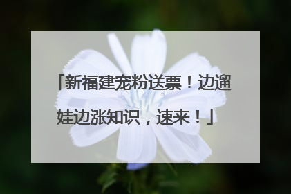 新福建宠粉送票！边遛娃边涨知识，速来！