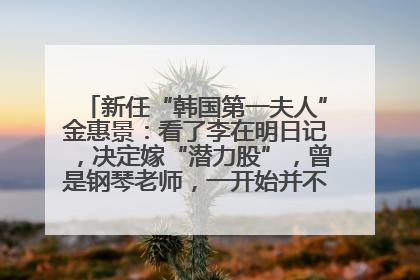 新任“韩国第一夫人”金惠景：看了李在明日记，决定嫁“潜力股”，曾是钢琴老师，一开始并不支持丈夫从政