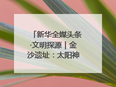 新华全媒头条·文明探源｜金沙遗址：太阳神鸟起飞的地方