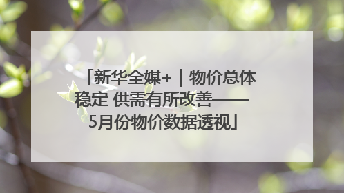 新华全媒+｜物价总体稳定 供需有所改善——5月份物价数据透视