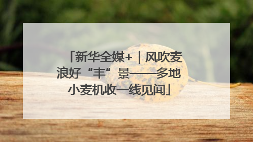 新华全媒+｜风吹麦浪好“丰”景——多地小麦机收一线见闻