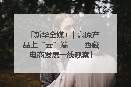 新华全媒+｜高原产品上“云”端——西藏电商发展一线观察