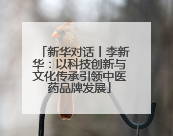 新华对话丨李新华：以科技创新与文化传承引领中医药品牌发展