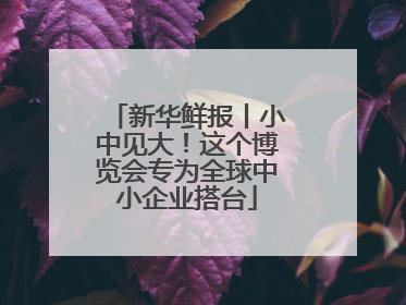 新华鲜报丨小中见大！这个博览会专为全球中小企业搭台