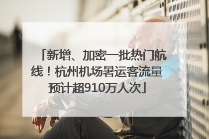 新增、加密一批热门航线！杭州机场暑运客流量预计超910万人次