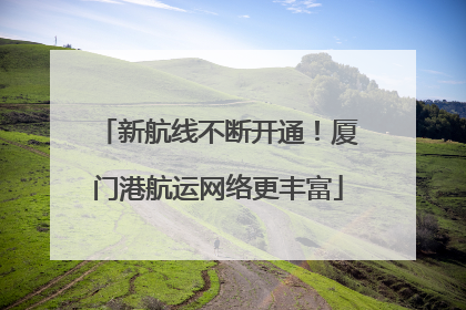 新航线不断开通！厦门港航运网络更丰富