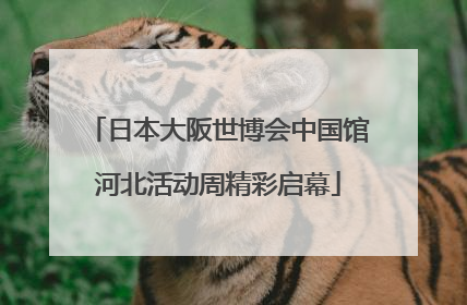 日本大阪世博会中国馆河北活动周精彩启幕