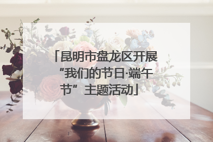 昆明市盘龙区开展“我们的节日·端午节”主题活动