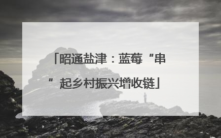 昭通盐津：蓝莓“串”起乡村振兴增收链