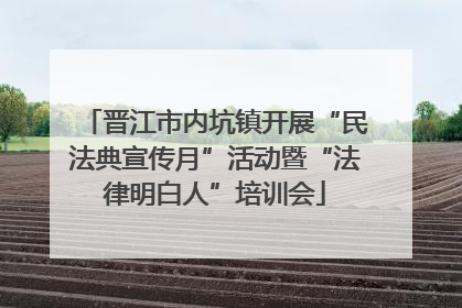 晋江市内坑镇开展“民法典宣传月”活动暨“法律明白人”培训会