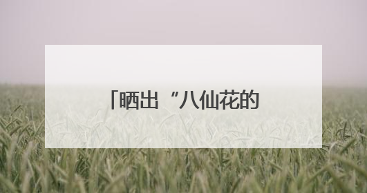晒出“八仙花的浪漫时刻”，今天，不少读者将这份浪漫延续到家里