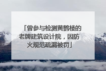 曾参与检测黄鹤楼的老牌建筑设计院，因防火规范疏漏被罚