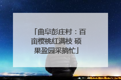 曲阜彭庄村：百亩樱桃红满枝 硕果盈园采摘忙