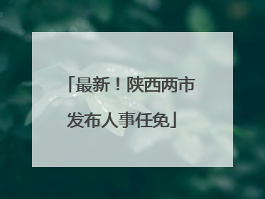 最新！陕西两市发布人事任免