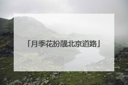 月季花扮靓北京道路