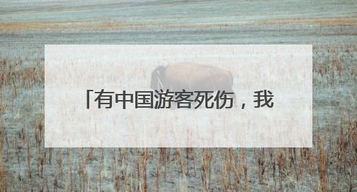 有中国游客死伤，我驻意大利使馆发声