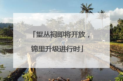 望丛祠即将开放，锦里升级进行时