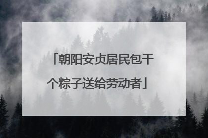 朝阳安贞居民包千个粽子送给劳动者