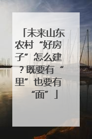 未来山东农村“好房子”怎么建？既要有“里”也要有“面”