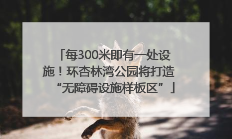 每300米即有一处设施！环杏林湾公园将打造“无障碍设施样板区”