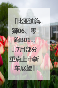 比亚迪海狮06、零跑B01……7月部分重点上市新车展望