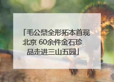 毛公鼎全形拓本首现北京 60余件金石珍品走进三山五园