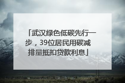 武汉绿色低碳先行一步，39位居民用碳减排量抵扣贷款利息
