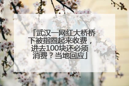 武汉一网红大桥桥下被指圈起来收费，进去100块还必须消费？当地回应