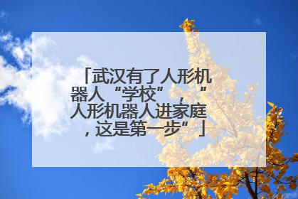 武汉有了人形机器人“学校”，“人形机器人进家庭，这是第一步”