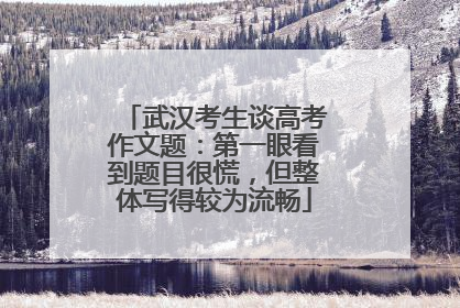 武汉考生谈高考作文题：第一眼看到题目很慌，但整体写得较为流畅