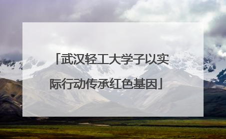 武汉轻工大学子以实际行动传承红色基因
