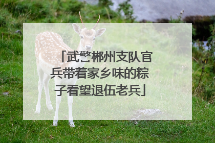 武警郴州支队官兵带着家乡味的粽子看望退伍老兵
